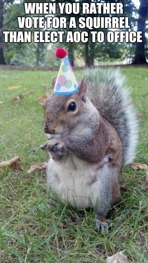 Super Birthday Squirrel Meme | WHEN YOU RATHER VOTE FOR A SQUIRREL THAN ELECT AOC TO OFFICE | image tagged in memes,super birthday squirrel | made w/ Imgflip meme maker