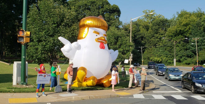 Trump chiken cross road Blank Meme Template