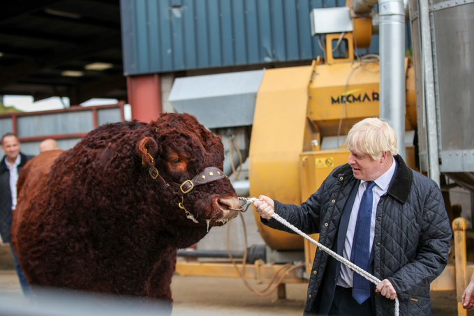 High Quality Boris and the Bull Blank Meme Template