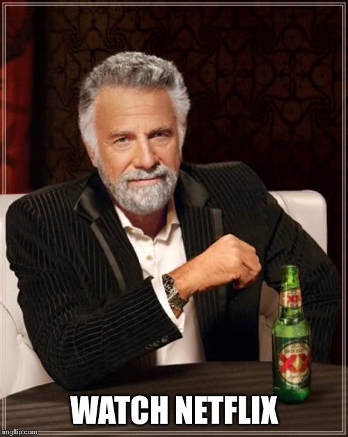 WATCH NETFLIX | image tagged in memes,the most interesting man in the world | made w/ Imgflip meme maker