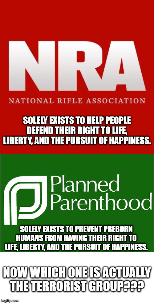 Life is a right. Arms are a right.  "Privacy" and "Murder of Children", not a right. | SOLELY EXISTS TO HELP PEOPLE DEFEND THEIR RIGHT TO LIFE, LIBERTY, AND THE PURSUIT OF HAPPINESS. SOLELY EXISTS TO PREVENT PREBORN HUMANS FROM HAVING THEIR RIGHT TO LIFE, LIBERTY, AND THE PURSUIT OF HAPPINESS. NOW WHICH ONE IS ACTUALLY THE TERRORIST GROUP??? | image tagged in blank white template,planned parenthood,nra,terrorism | made w/ Imgflip meme maker
