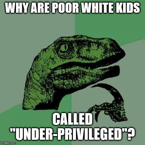 Philosoraptor | WHY ARE POOR WHITE KIDS; CALLED "UNDER-PRIVILEGED"? | image tagged in memes,philosoraptor | made w/ Imgflip meme maker