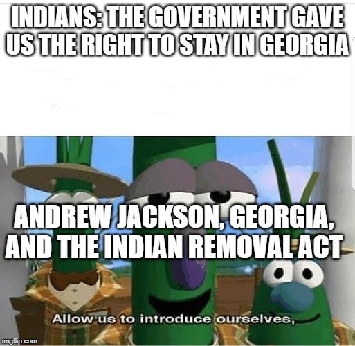 Allow us to introduce ourselves | INDIANS: THE GOVERNMENT GAVE US THE RIGHT TO STAY IN GEORGIA; ANDREW JACKSON, GEORGIA, AND THE INDIAN REMOVAL ACT | image tagged in allow us to introduce ourselves | made w/ Imgflip meme maker