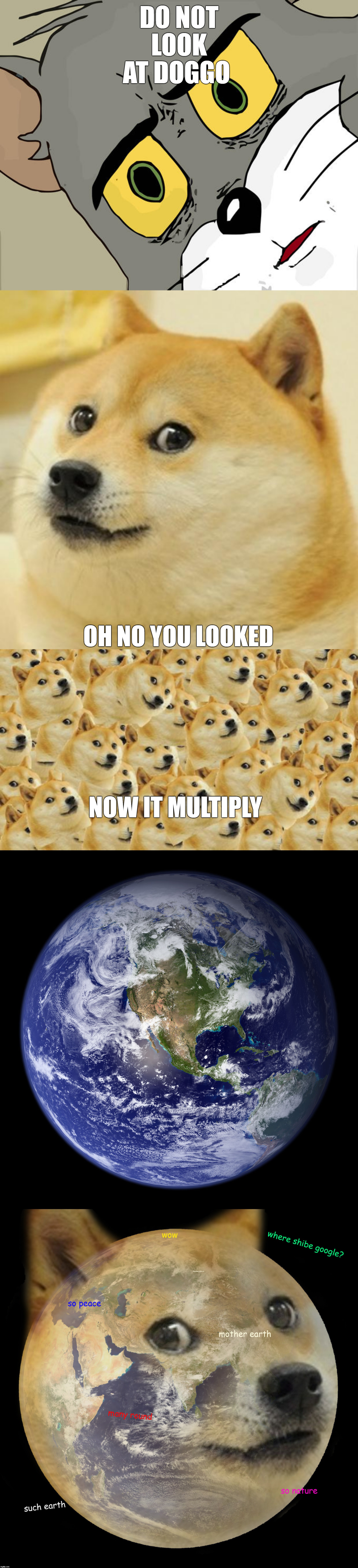 Dogepocolypse | DO NOT LOOK AT DOGGO; OH NO YOU LOOKED; NOW IT MULTIPLY | image tagged in memes,multi doge,doge,unsettled tom | made w/ Imgflip meme maker
