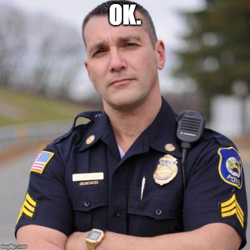 Cop | OK. | image tagged in cop | made w/ Imgflip meme maker
