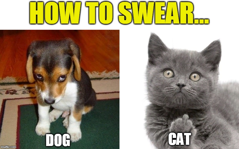 how to swear dog and cat... - Imgflip