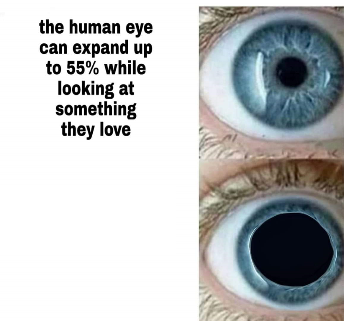 High Quality Human eye Blank Meme Template