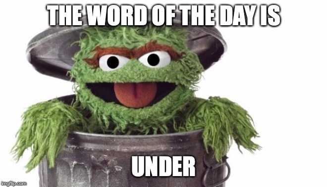 Oscar trashcan Sesame street | THE WORD OF THE DAY IS UNDER | image tagged in oscar trashcan sesame street | made w/ Imgflip meme maker