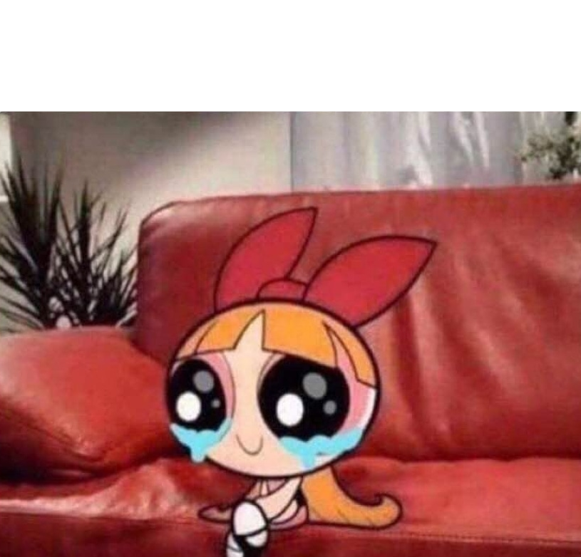 Blossom crying Blank Meme Template