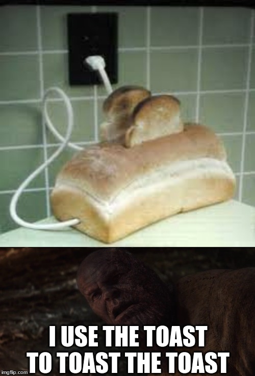 I USE THE TOAST TO TOAST THE TOAST | image tagged in i used the stones to destroy the stones | made w/ Imgflip meme maker