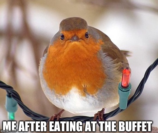 Bah Humbug Meme | ME AFTER EATING AT THE BUFFET | image tagged in memes,bah humbug | made w/ Imgflip meme maker