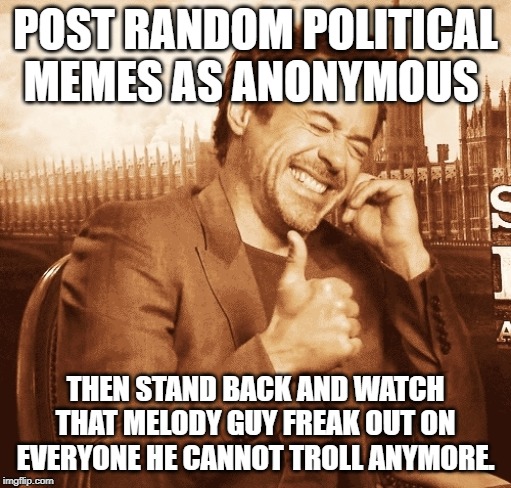 laughing | POST RANDOM POLITICAL MEMES AS ANONYMOUS; THEN STAND BACK AND WATCH THAT MELODY GUY FREAK OUT ON EVERYONE HE CANNOT TROLL ANYMORE. | image tagged in laughing | made w/ Imgflip meme maker