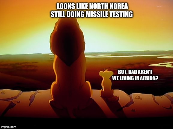 Lion King | LOOKS LIKE NORTH KOREA STILL DOING MISSILE TESTING; BUT, DAD AREN'T WE LIVING IN AFRICA? | image tagged in memes,lion king | made w/ Imgflip meme maker