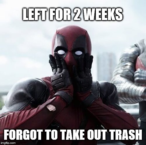 Deadpool Surprised | LEFT FOR 2 WEEKS; FORGOT TO TAKE OUT TRASH | image tagged in memes,deadpool surprised | made w/ Imgflip meme maker