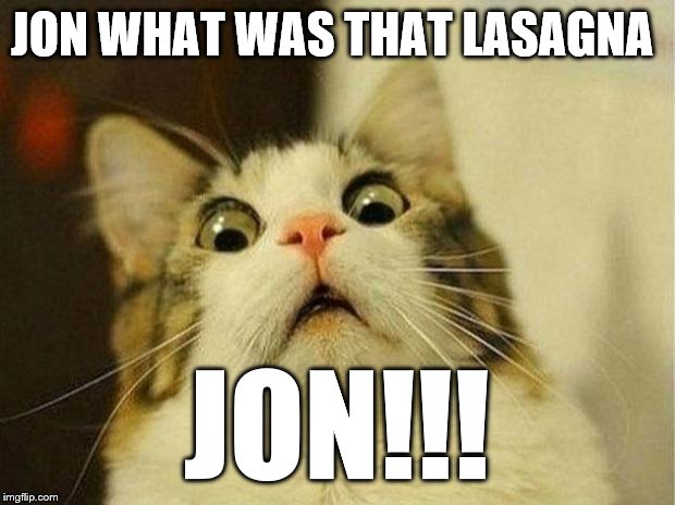 Scared Cat | JON WHAT WAS THAT LASAGNA; JON!!! | image tagged in memes,scared cat | made w/ Imgflip meme maker