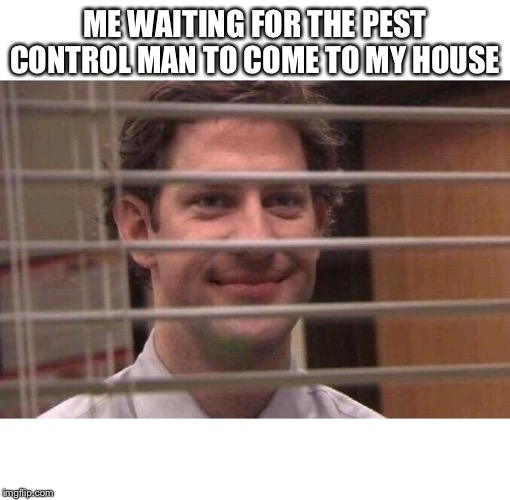 Jim Office Blinds | ME WAITING FOR THE PEST CONTROL MAN TO COME TO MY HOUSE | image tagged in jim office blinds | made w/ Imgflip meme maker