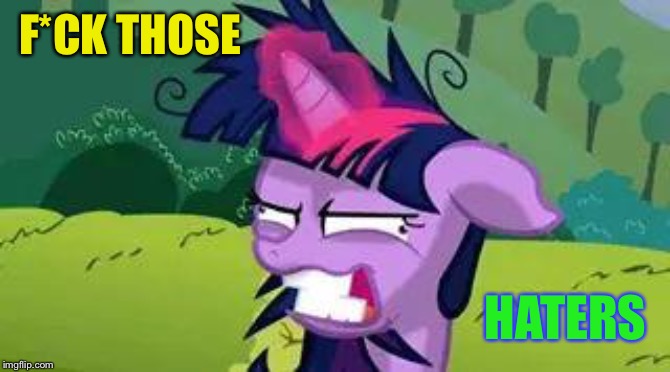 mlp | F*CK THOSE HATERS | image tagged in mlp | made w/ Imgflip meme maker