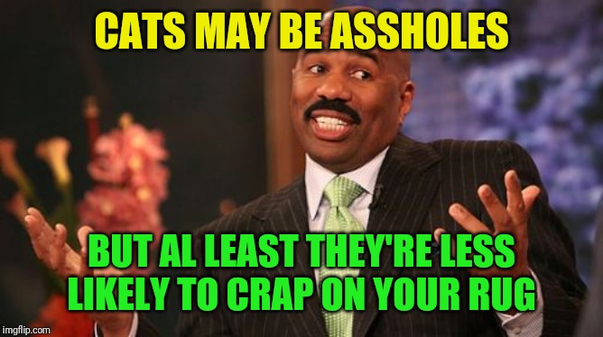 Steve Harvey Meme | CATS MAY BE ASSHOLES BUT AL LEAST THEY'RE LESS LIKELY TO CRAP ON YOUR RUG | image tagged in memes,steve harvey | made w/ Imgflip meme maker