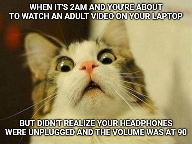 Scared Cat Meme | WHEN IT'S 2AM AND YOU'RE ABOUT TO WATCH AN ADULT VIDEO ON YOUR LAPTOP; BUT DIDN'T REALIZE YOUR HEADPHONES WERE UNPLUGGED AND THE VOLUME WAS AT 90 | image tagged in memes,scared cat | made w/ Imgflip meme maker
