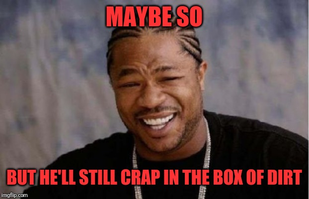 Yo Dawg Heard You Meme | MAYBE SO BUT HE'LL STILL CRAP IN THE BOX OF DIRT | image tagged in memes,yo dawg heard you | made w/ Imgflip meme maker