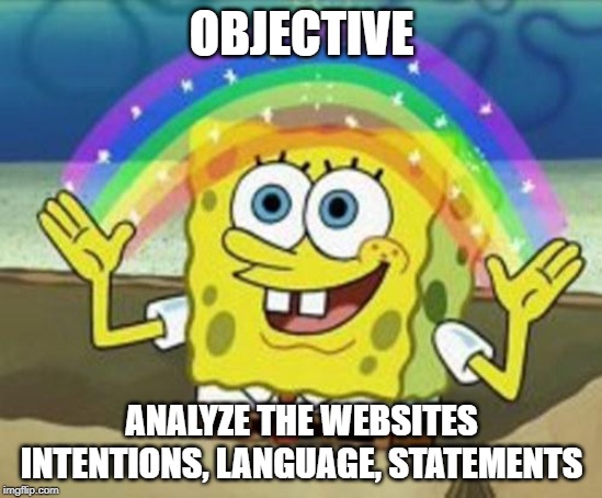 Sponge Bob | OBJECTIVE; ANALYZE THE WEBSITES INTENTIONS, LANGUAGE, STATEMENTS | image tagged in sponge bob | made w/ Imgflip meme maker