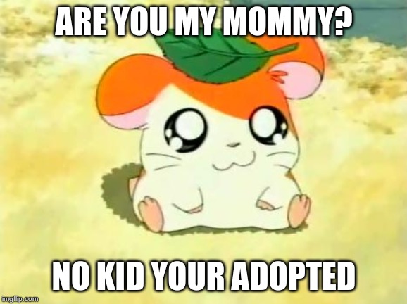 Hamtaro | ARE YOU MY MOMMY? NO KID YOUR ADOPTED | image tagged in memes,hamtaro | made w/ Imgflip meme maker