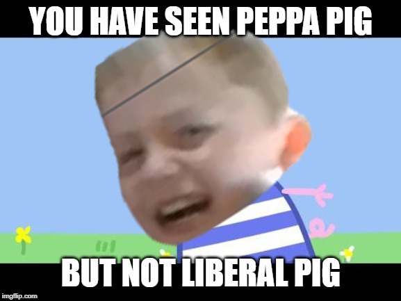 YOU HAVE SEEN PEPPA PIG; BUT NOT LIBERAL PIG | image tagged in stupid liberals | made w/ Imgflip meme maker