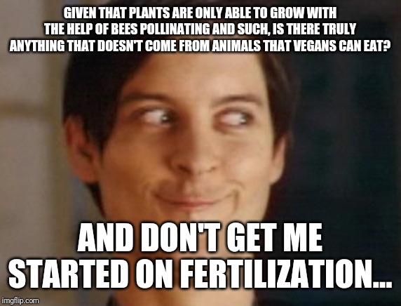 Spiderman Peter Parker Meme | GIVEN THAT PLANTS ARE ONLY ABLE TO GROW WITH THE HELP OF BEES POLLINATING AND SUCH, IS THERE TRULY ANYTHING THAT DOESN'T COME FROM ANIMALS THAT VEGANS CAN EAT? AND DON'T GET ME STARTED ON FERTILIZATION... | image tagged in memes,spiderman peter parker | made w/ Imgflip meme maker