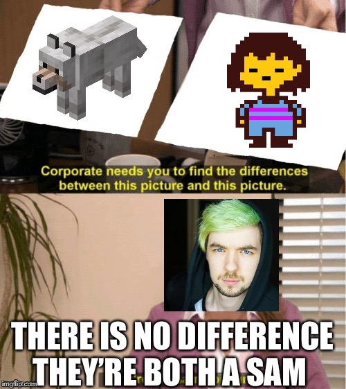 They're The Same Picture Meme | THERE IS NO DIFFERENCE THEY’RE BOTH A SAM | image tagged in office same picture | made w/ Imgflip meme maker