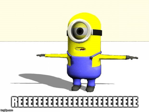 minion t pose | REEEEEEEEEEEEEEEEEEEEEEEE | image tagged in minion t pose | made w/ Imgflip meme maker