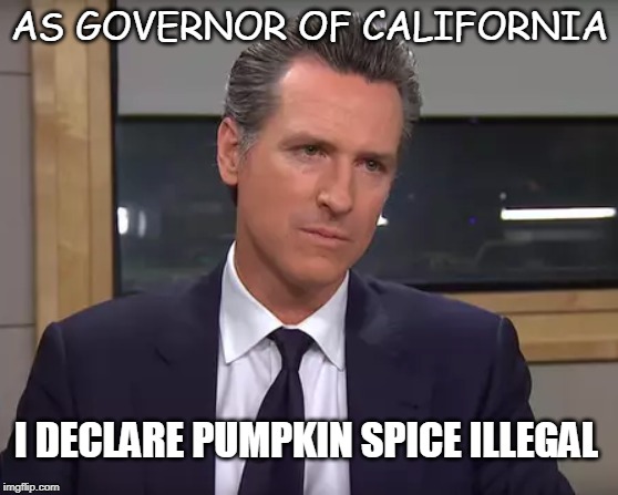 Pumpkin Spice | AS GOVERNOR OF CALIFORNIA; I DECLARE PUMPKIN SPICE ILLEGAL | image tagged in california,governor,funny memes,pumpkin spice,gavin | made w/ Imgflip meme maker
