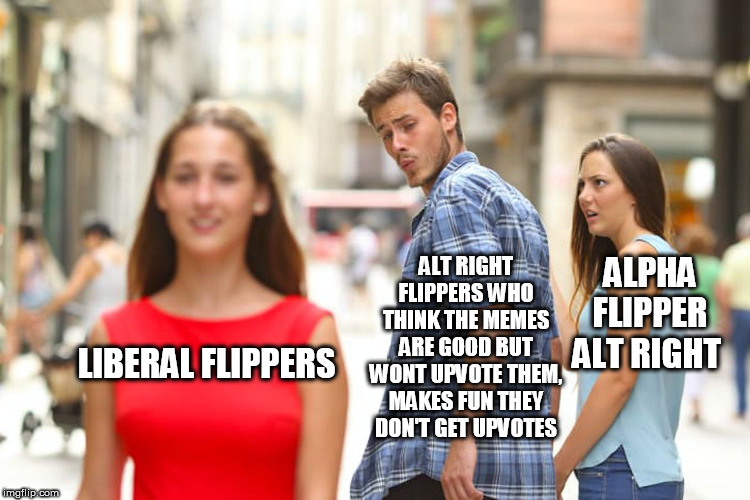 Distracted Boyfriend | ALT RIGHT FLIPPERS WHO THINK THE MEMES ARE GOOD BUT WONT UPVOTE THEM, MAKES FUN THEY DON'T GET UPVOTES; ALPHA FLIPPER ALT RIGHT; LIBERAL FLIPPERS | image tagged in memes,distracted boyfriend | made w/ Imgflip meme maker