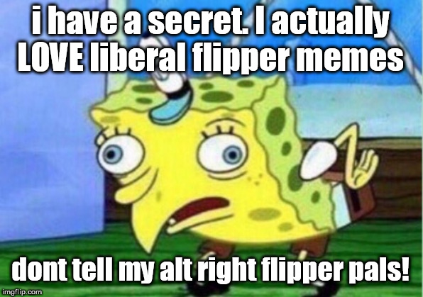 Mocking Spongebob | i have a secret. I actually LOVE liberal flipper memes; dont tell my alt right flipper pals! | image tagged in memes,mocking spongebob | made w/ Imgflip meme maker