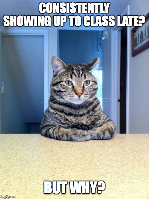 Take A Seat Cat Meme | CONSISTENTLY SHOWING UP TO CLASS LATE? BUT WHY? | image tagged in memes,take a seat cat | made w/ Imgflip meme maker
