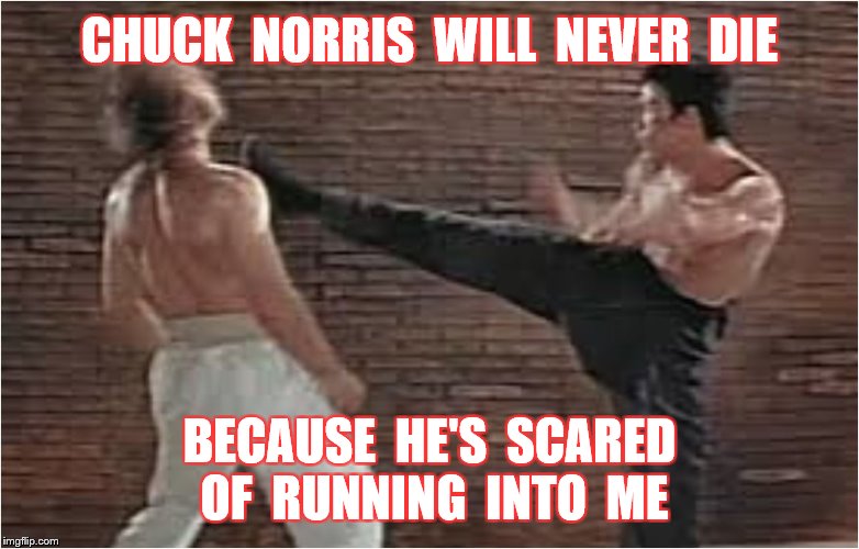 CHUCK  NORRIS  WILL  NEVER  DIE BECAUSE  HE'S  SCARED  OF  RUNNING  INTO  ME | made w/ Imgflip meme maker