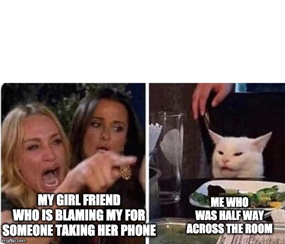 Lady screams at cat | ME WHO WAS HALF WAY ACROSS THE ROOM; MY GIRL FRIEND WHO IS BLAMING MY FOR SOMEONE TAKING HER PHONE | image tagged in lady screams at cat | made w/ Imgflip meme maker