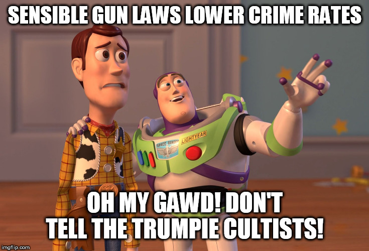 X, X Everywhere | SENSIBLE GUN LAWS LOWER CRIME RATES; OH MY GAWD! DON'T TELL THE TRUMPIE CULTISTS! | image tagged in memes,x x everywhere | made w/ Imgflip meme maker