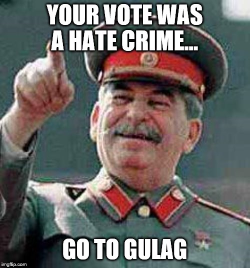 Stalin says | YOUR VOTE WAS A HATE CRIME... GO TO GULAG | image tagged in stalin says | made w/ Imgflip meme maker