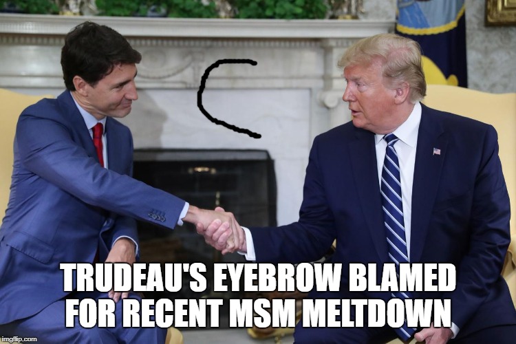 Trudeau Left Eyebrow in Oval Office | TRUDEAU'S EYEBROW BLAMED FOR RECENT MSM MELTDOWN | image tagged in trudeau,alabama,msm,eyebrow,meltdown,dorian | made w/ Imgflip meme maker