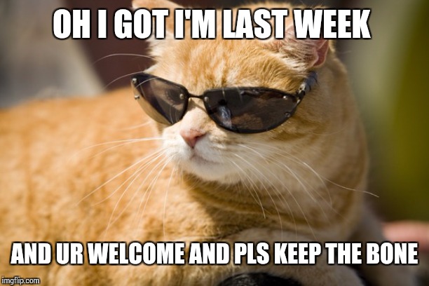 Cool Cat | OH I GOT I'M LAST WEEK AND UR WELCOME AND PLS KEEP THE BONE | image tagged in cool cat | made w/ Imgflip meme maker