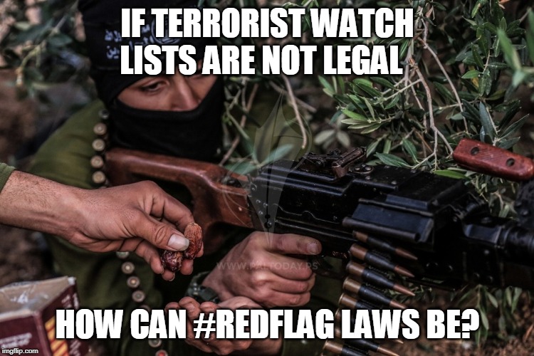 IF TERRORIST WATCH LISTS ARE NOT LEGAL; HOW CAN #REDFLAG LAWS BE? | image tagged in politics | made w/ Imgflip meme maker