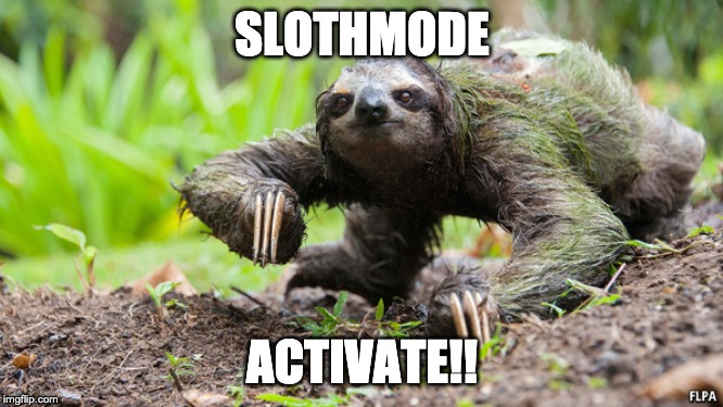 Slothmode Activate | SLOTHMODE; ACTIVATE!! | image tagged in sloth,beast mode | made w/ Imgflip meme maker