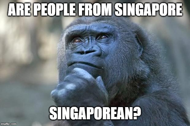 that is the question | ARE PEOPLE FROM SINGAPORE SINGAPOREAN? | image tagged in that is the question | made w/ Imgflip meme maker
