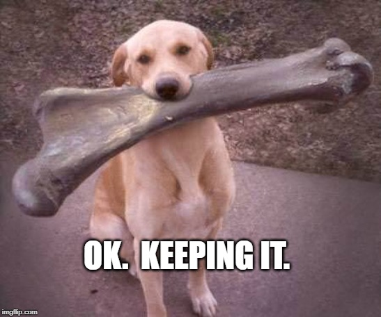 dog bone | OK.  KEEPING IT. | image tagged in dog bone | made w/ Imgflip meme maker