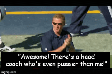 "Awesome! There's a head coach who's even pussier than me!" | image tagged in gifs | made w/ Imgflip video-to-gif maker