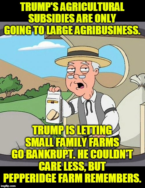 Pepperidge Farm Will Remember, all the way through 2020. | TRUMP'S AGRICULTURAL SUBSIDIES ARE ONLY GOING TO LARGE AGRIBUSINESS. TRUMP IS LETTING SMALL FAMILY FARMS GO BANKRUPT. HE COULDN'T CARE LESS, BUT PEPPERIDGE FARM REMEMBERS. | image tagged in memes,pepperidge farm remembers,trump,trade war,tariff,subsidy | made w/ Imgflip meme maker