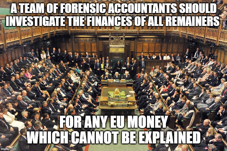 British Parliament | A TEAM OF FORENSIC ACCOUNTANTS SHOULD INVESTIGATE THE FINANCES OF ALL REMAINERS; FOR ANY EU MONEY WHICH CANNOT BE EXPLAINED | image tagged in british parliament | made w/ Imgflip meme maker