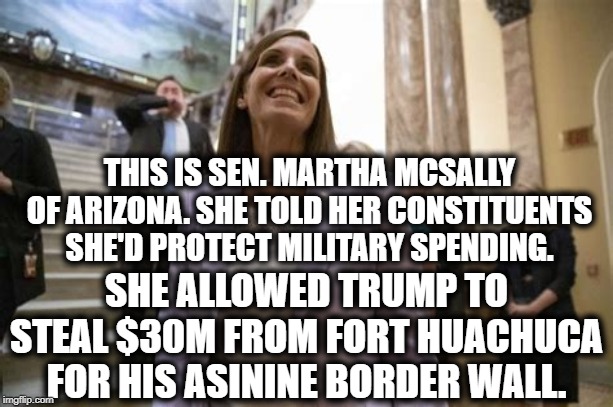 Republicans At Work! | THIS IS SEN. MARTHA MCSALLY OF ARIZONA. SHE TOLD HER CONSTITUENTS SHE'D PROTECT MILITARY SPENDING. SHE ALLOWED TRUMP TO STEAL $30M FROM FORT HUACHUCA FOR HIS ASININE BORDER WALL. | image tagged in arizona,donald trump,border wall,military,martha mcsally,republicans | made w/ Imgflip meme maker