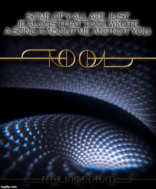 SOME OF Y'ALL ARE JUST JEALOUS THAT TOOL WROTE A SONG A ABOUT ME AND NOT YOU. | image tagged in tool,fear incoulum,music,metal | made w/ Imgflip meme maker