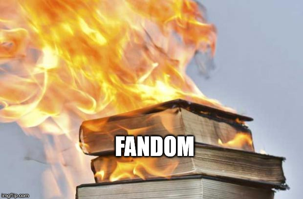 burning books | FANDOM | image tagged in burning books | made w/ Imgflip meme maker